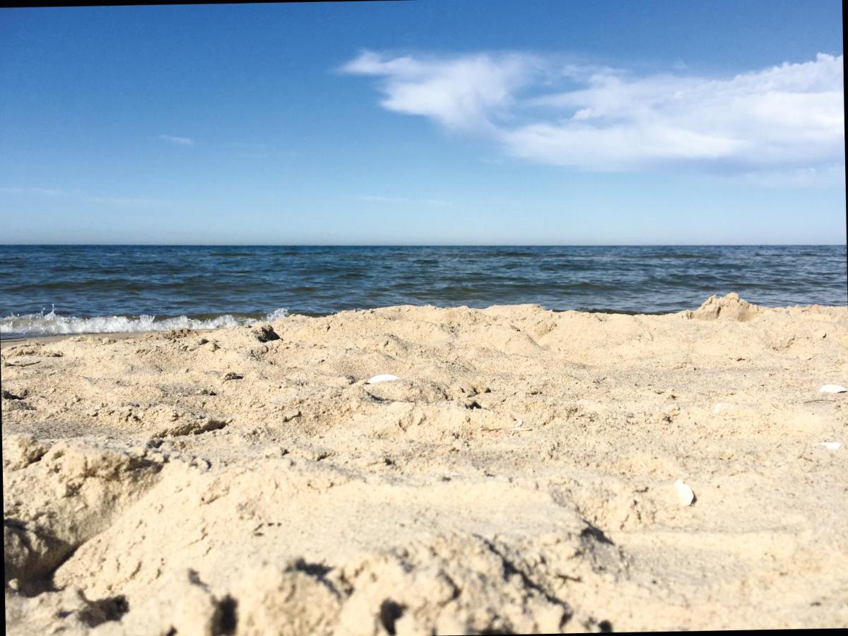 Reet Am Strand Mit Hund Karlshagen Экстерьер фото