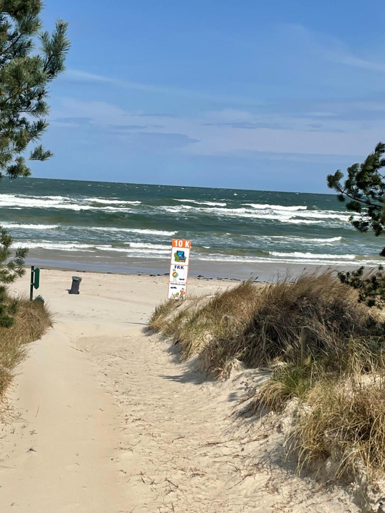 Reet Am Strand Mit Hund Karlshagen Экстерьер фото